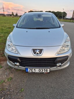 Peugeot 307, hatchback, benzín - 2