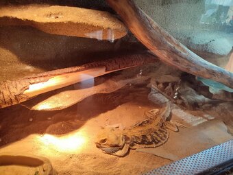 Terárium 120x50x50 - 2