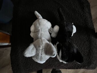 2x plyšový pejsek husky - 2