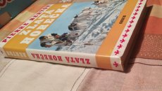 Zlatá horečka - kniha - 2