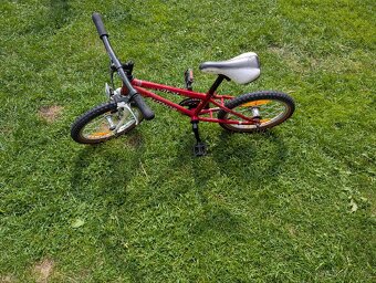 16'' kolo Author - 2