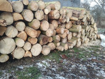Palivové dřevo - 2