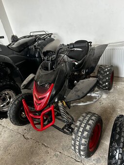 650 Campell Bashan 250 - 2