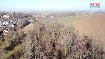 Prodej lesa, 4916 m², Neplachovice - 2