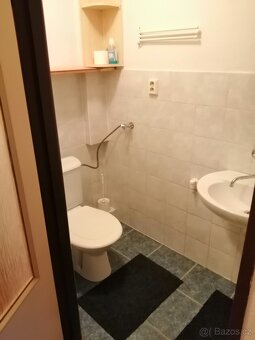 Pronájmu byt 1+1 ivanovice na hane - 2