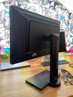 BenQ BL2420PT QHD 2 560 x 1 440 - 2