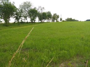 Úhonice - pozemek s investičním potenciálem 12 000 m2 - 2
