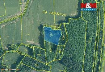 Prodej lesa, 20093 m², Skály - 2