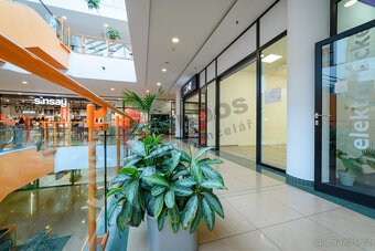 Obchodní prostor 37 m² v OD Dvořák, Tábor - 2