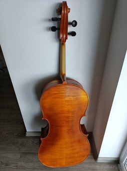 Violoncello 4/4 - 2
