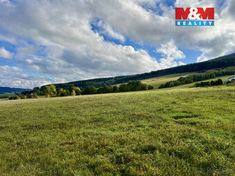 Prodej pozemku k bydlení, 43959 m², Králíky - 2