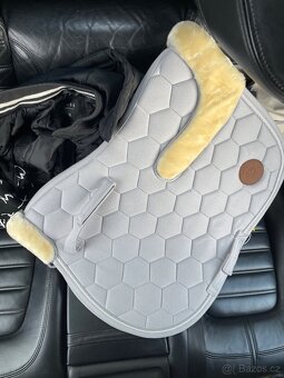 Podsedlovka s beránkem - 2