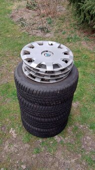 Barum Polaris 5 185/55/R15 - 2