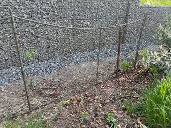 Stary secesni plot - 2