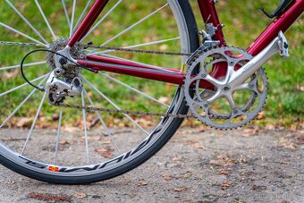 SIlniční kolo Trek 5500 OCLV Carbon - 2