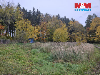 Prodej louky, 922 m², Hynčina - 2