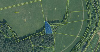 Prodám lesní pozemky v k.ú. Malenice - 2