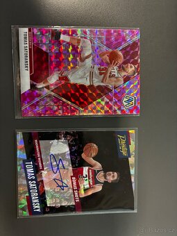 Tomáš Satoransky - 2