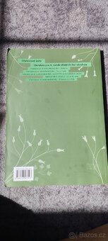 Literatura pro 4. ročník středních škol - 2