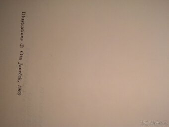 Gustave Flaubert - paní Bovaryová - 2