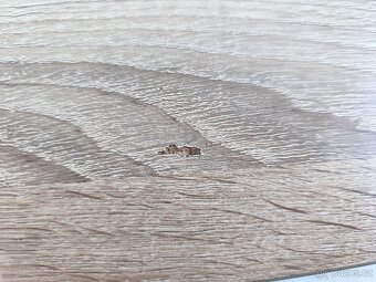 Konferenční stolek - 2