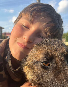 Belgický ovčák malinois s PP, super parťák na hory - 2