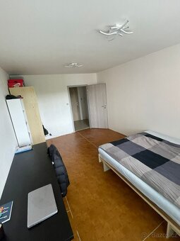 pronájem 1+1, vel. 45m2, Poruba - 2
