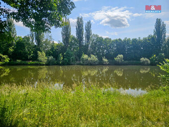 Prodej zahrady u Labe, 1070 m², Hradec Králové - 2