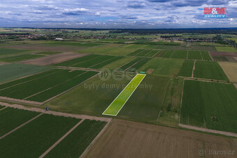 Prodej pole, 4454 m², Dřísy - 2