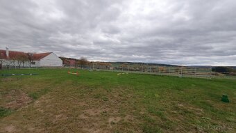 Ustájení v rodinné stáji - 2