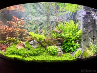 Prodám komplet Juwel Vision 180l. - 2