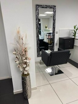 Pronájem kadeřnického křesla - 2