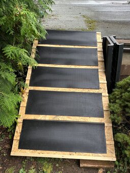 Rampa pro velkeho psa - 2