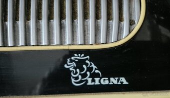 Akordeon - Ligna - 2