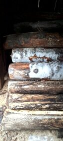 Dřevo na uzení buk a borovice - 2