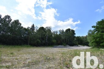 Prodej pozemky pro komerční výstavbu, 5 173 m2 - Sadov - Les - 2