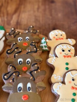 Vánoční zdobené perníčky - 2