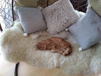 Ovčí kůže, třeba na čerty - 2