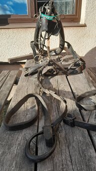 Kočárové postroje - 2