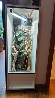 Terárium chameleon - 2