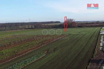 Prodej ovocného sadu, 9979 m², Nové Dvory - 2