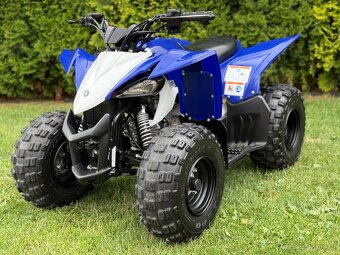 Yamaha Raptor 50 - 2