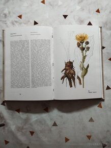 Atlas léčivých rostlin - 2