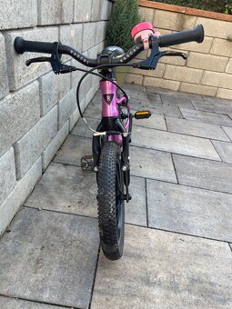 Dětské kolo Rascal 14 - 2