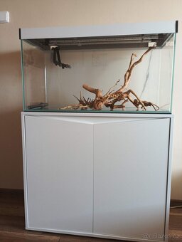 Akvárium - 2