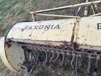 Secka saxonia - 2