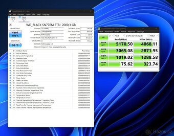 WD BLACK SN770M 2 TB - 2