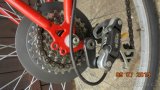 Silniční pánské kolo COLNAGO ... - 2