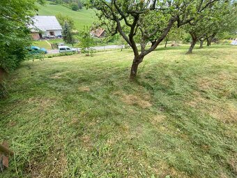 SEKÁNÍ A ÚDRŽBA ZELENĚ - 2