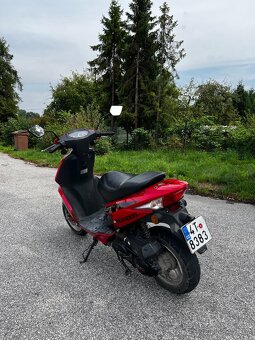 Biaginni 50s - 2
